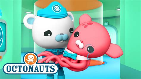 aquanauts cartoon|octonauts full videos.